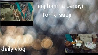 Aaj humne banai Tori ki sabji 😋 [upl. by Llerreg]