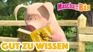 Mascha und der Bär 📚Gut zu wissen 📚 Episodensammlung 👧🐻 Masha and the Bear 2023 [upl. by Ainekahs]