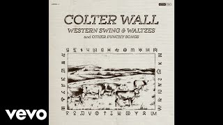 Colter Wall  Houlihans at the Holiday Inn Audio [upl. by Fredkin]