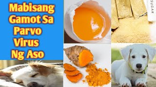 MABISANG GAMOT SA PARVO VIRUS NG ASO  HOME REMEDY  HOW TO TREAT PARVO IN DOG [upl. by Immot]