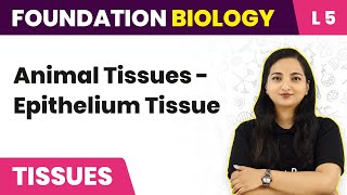 Animal Tissues  Epithelium Tissue  Tissues  L5  NEET Foundation Biology [upl. by Watanabe]