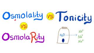 Osmolality Osmolarity and Tonicity  Physiology Biology and Chemistry [upl. by Ellehsyt273]