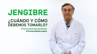 Jengibre cuándo y cómo debemos tomarlo Tu Farmacéutico Informa  PlantasMedicinales [upl. by Ayidah]