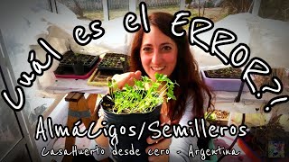 🌱ALMACIGOS DE GUERRA💥Todos los TIPS de mis SEMILLEROS💯 y todos los lios que hice en las SIEMBRAS [upl. by Ansel]