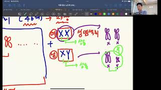 중35단원생식과 유전염색체 세포 분열체세포 분열 감수 분열 한방 정리 [upl. by Bohon293]