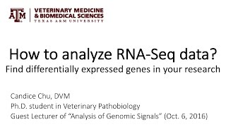 How to analyze RNASeq data Find differentially expressed genes in your research [upl. by Dnama605]