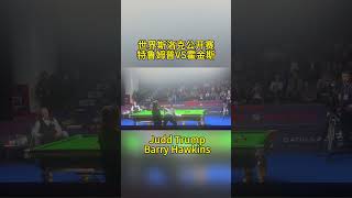 Crazy Attack  Judd Trump vs Barry Hawkins snooker [upl. by Keligot523]