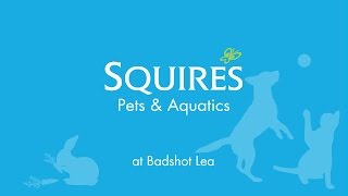 New Pets and Aquatics Centre at Squires Badshot Lea [upl. by Biggs193]