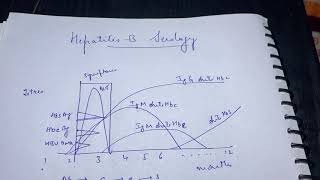 Hepatitis B serology curve  interpretation made easy [upl. by Nicolai637]