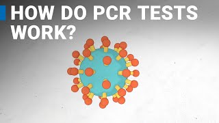 How do COVID19 tests work RTPCR explained [upl. by Sucramat]