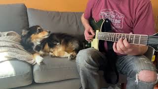 Playing Guitar with my Dog Huxley [upl. by Nnylhsa609]