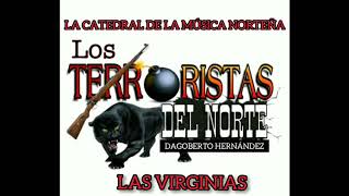 LOS TERRORISTAS DEL NORTE  LAS VIRGINIAS [upl. by Linell]