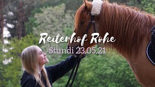 Reiterhof Rohe  Stundenreiter 23052021 ♥️ [upl. by Noivert]