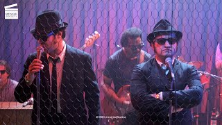 The Blues Brothers Country music Scene HD CLIP [upl. by Enilrad]