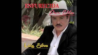 Luis Silva  Enfurecida [upl. by Babcock]