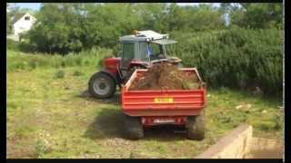 Carting soil with Massey Ferguson 3085 amp MF 590 [upl. by Rizzi]