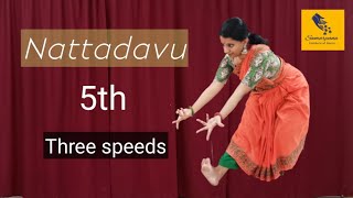 Bharathanatyam Adavus  Nattadavu 5 [upl. by Haik]