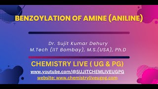 Benzoylation of Aniline Amines [upl. by Eladal]