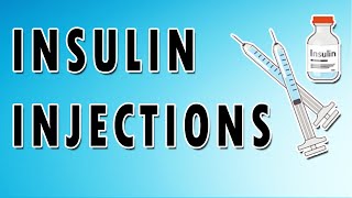 Insulin Mechanism and Side Effects [upl. by Irvin]