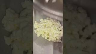 Clabbered Milk Cottage Cheese rawmilk homemade homestead cottagecheese dextercattle [upl. by Aynam]