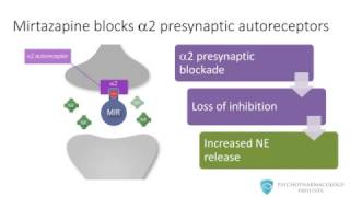 Mirtazapine From Mechanism to Clinical Applications [upl. by Nickolaus]