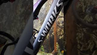 2019 SWorks Turbo Levo [upl. by Hgieliak]