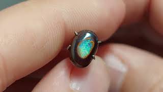 KoroitNut Opal 001775 s [upl. by Ellerahs959]