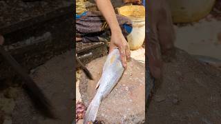 Delicious Giant Poa Fish Cutting Skills In Expert Fish Cutter Live In Fish Market part11 shorts [upl. by Melisa]