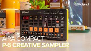 Introducing Roland AIRA Compact P6 Creative Sampler [upl. by Yrag179]