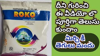 ROKO SYSTEMIC FUNGICIDE  thoiponet mythail 70wp  మిరపలో పండాకు తెగులు నివారణ  Mirchi Fungicides [upl. by Lotte]