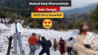 2023 First Snowfall 😍McleodGanj Naddi Galu TempleDharamshala [upl. by Angelia]