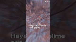 Hayalim 3 kelime [upl. by Okiron916]