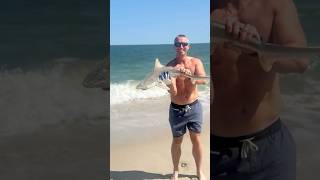 FOUR FOOT SHARK Caught Off the Delaware Shore Surf Fishing 🦈🤯 catchandrelease [upl. by Melak]