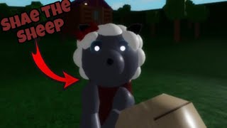 NEW SHAE THE SHEEP JUMPSCARE  Roblox Rash Raid Beta [upl. by Otter]