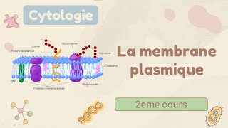 Cytologie  la membrane plasmique  cours de 1er année médecine [upl. by Tenneb986]