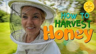 How to Harvest Honey  Beekeeping with Maddie 12 [upl. by Devora222]