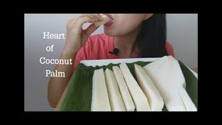 ASMR HEART OF COCONUT PALM EATING SOUNDSNO TALKING KWAN EATS [upl. by Anitnemelc]