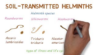 Deadly Worms – A look at Soil Transmitted Helminths [upl. by Lehcim]