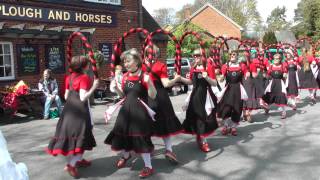 Mayflower Morris Dance Blackadder [upl. by Ellenaej574]