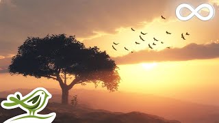 Beautiful Romantic Music • Relaxing Music Guitar Music Violin Music Cello Music Piano Music [upl. by Naujahs]