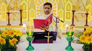 Sunday Holy Mass November 12 I 530 AM I Malayalam I Syro Malabar I Fr Bineesh Augustine [upl. by Winter]