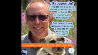 Is gabapentin a good option for treating joint pain in dogs and cats [upl. by Danziger]