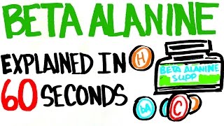 Beta Alanine Explained in 60 Seconds  Better Than Your Typical Supplement [upl. by Imogen]