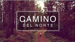 Camino Del Norte Guide  Episode 1 Days 15  835km Hike [upl. by Gerardo230]