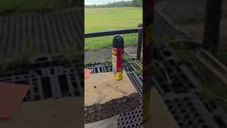 Best and most fun way to kill flies Blow Torch [upl. by Harlene421]