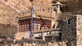 Naturalists film outside their Homestay at Oleh village  Ladakh [upl. by Aknaib]