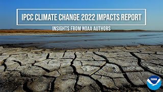 IPCC Climate Change 2022 Impacts Report Insights from NOAA Authors [upl. by Irpac]