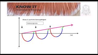 Trainingsprinzipien [upl. by Nanyt]