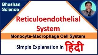 Reticuloendothelial System Monocyte Macrophage Cell System in Hindi  Bhushan Science [upl. by Aurelio557]