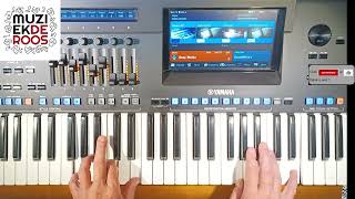 Muziekuur GEEL Keyboard video Sluizen van IJmuiden [upl. by Yarb]